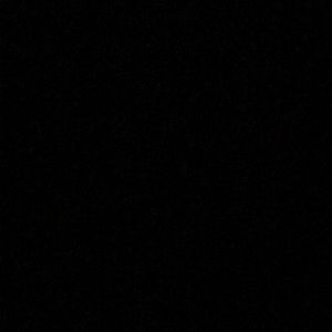 Meet your Posher, Shane